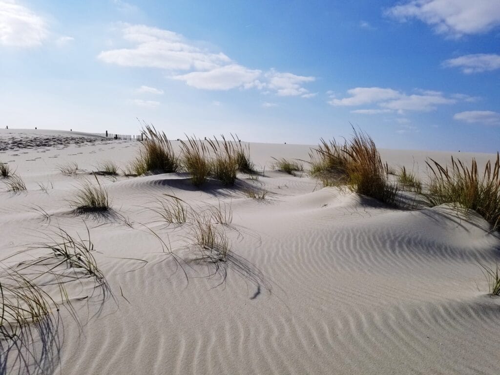 Life for Dunes - photo background 00002