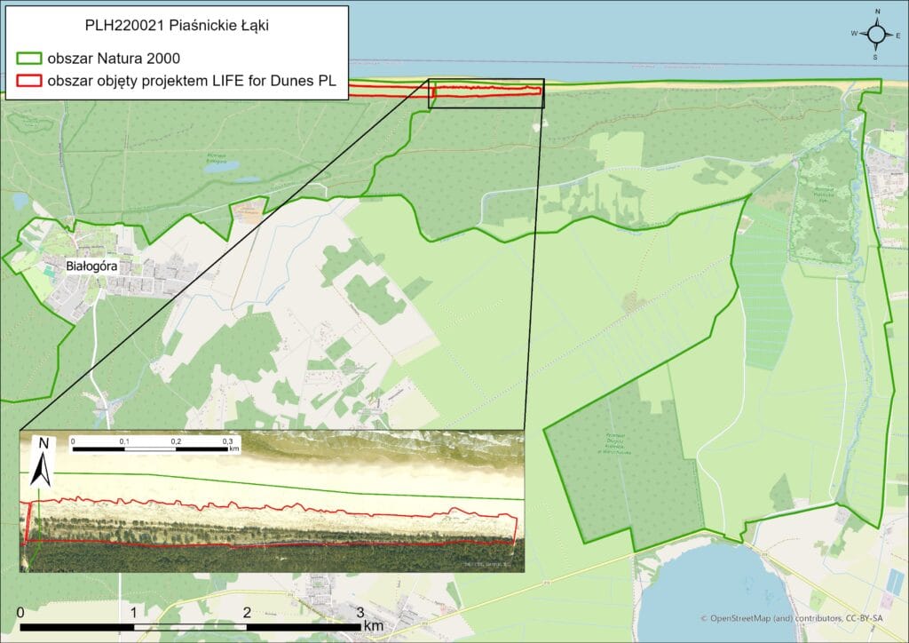 Piaśnickie_Łąki